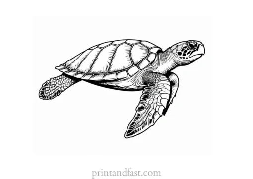 sea turtle coloring page printable