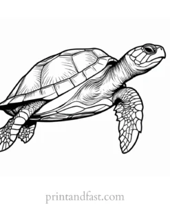 sea turtle coloring page realistic