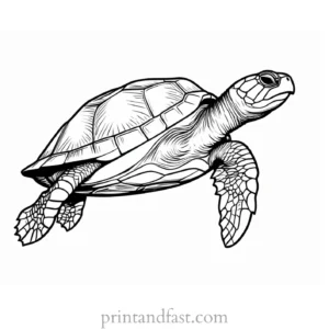 sea turtle coloring page realistic