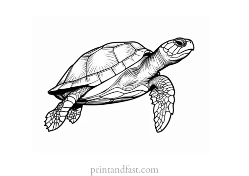 sea turtle coloring page realistic