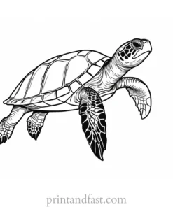 sea turtle coloring page simple