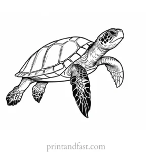 sea turtle coloring page simple