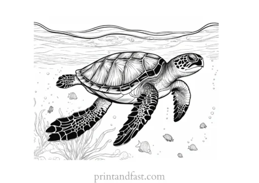 sea turtle coloring page underwater