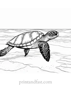 sea turtle coloring page with beach