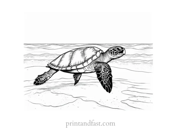 sea turtle coloring page with beach