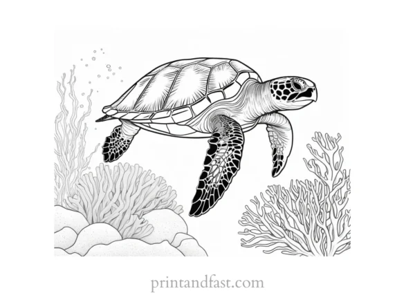 sea turtle coloring page with coral