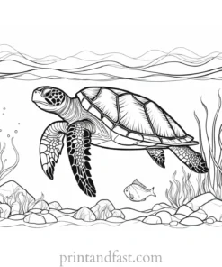 sea turtle coloring page with fish