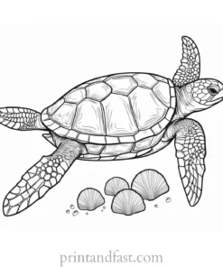 sea turtle coloring page with seashells