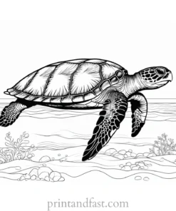 sea turtle coloring page with sun