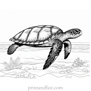 sea turtle coloring page with sun