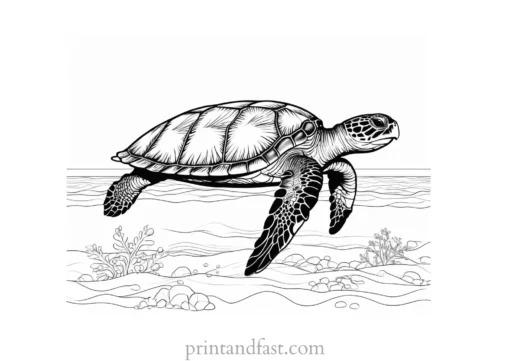 sea turtle coloring page with sun