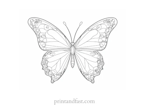 shamrock coloring page with butterflies