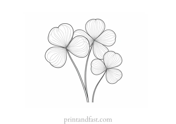 shamrock coloring page with clover