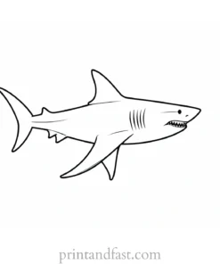 shark fin coloring page