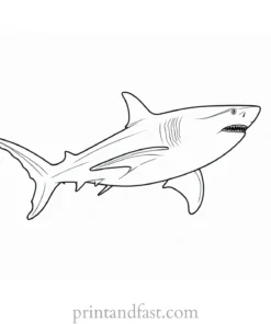 shark in the sea coloring page