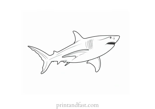 shark in the sea coloring page