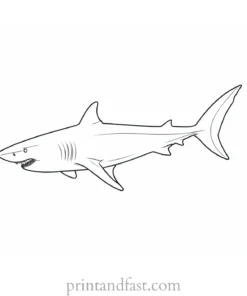 shark swimming coloring page