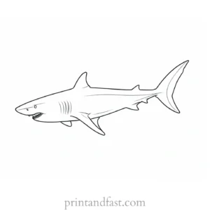 shark swimming coloring page