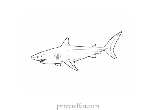 shark swimming coloring page