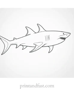 shark with open mouth coloring page