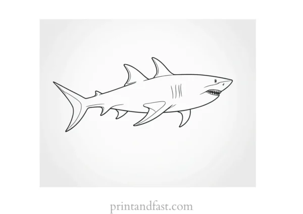 shark with open mouth coloring page