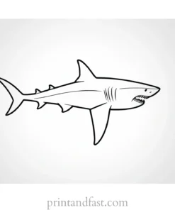 shark with sharp teeth coloring page