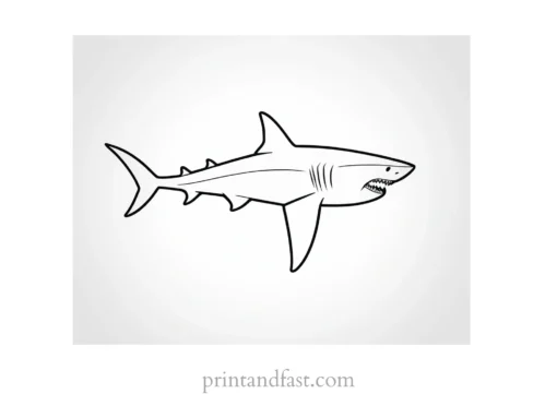 shark with sharp teeth coloring page