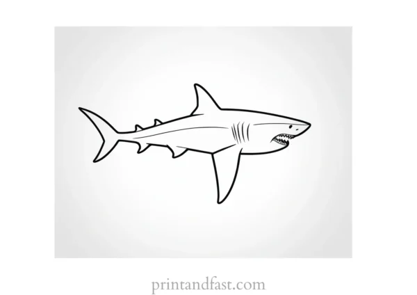 shark with sharp teeth coloring page