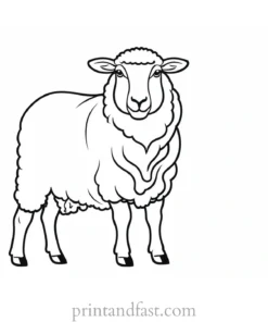 sheep coloring page activity