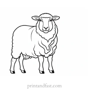 sheep coloring page activity