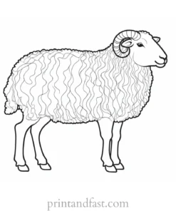 sheep coloring page artistic