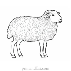 sheep coloring page artistic