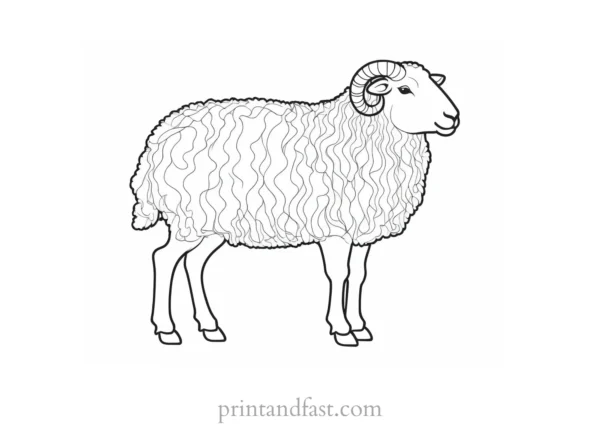 sheep coloring page artistic