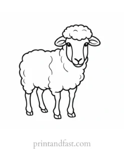 sheep coloring page cartoon