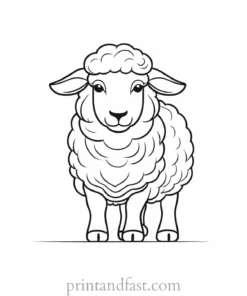 sheep coloring page cute