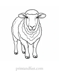 sheep coloring page easy