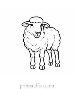 sheep coloring page educational