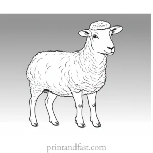 sheep coloring page farm