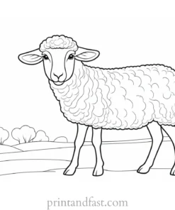 sheep coloring page for kids