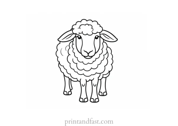 sheep coloring page for toddlers