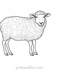 sheep coloring page template