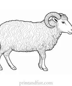 sheep coloring page whimsical