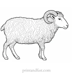 sheep coloring page whimsical