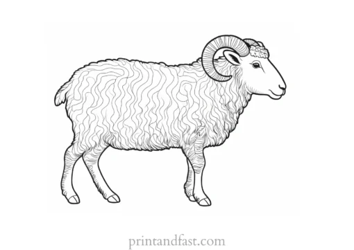 sheep coloring page whimsical