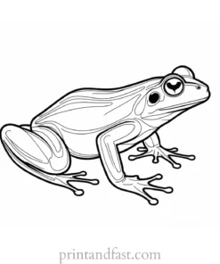 simple frog coloring page