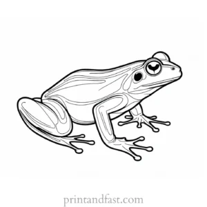 simple frog coloring page