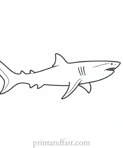 simple shark coloring page