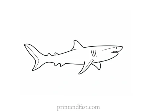 simple shark coloring page