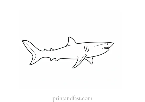 simple shark coloring page