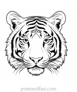 simple tiger coloring page